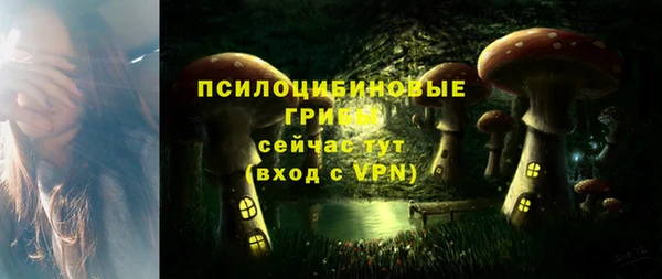 прущая мука Кинешма