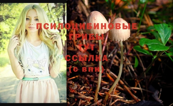 прущая мука Кинешма