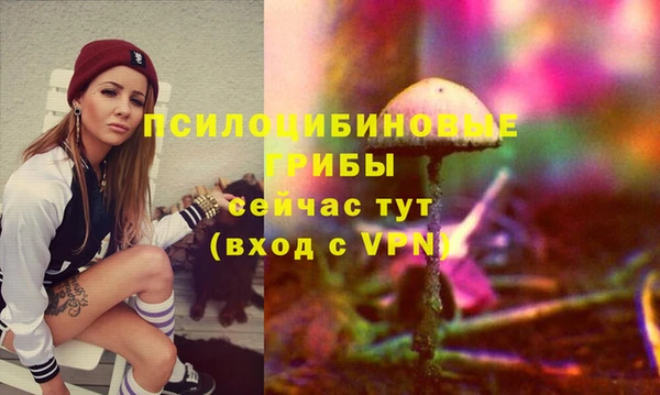 тгк Киреевск