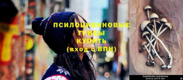 тгк Киреевск