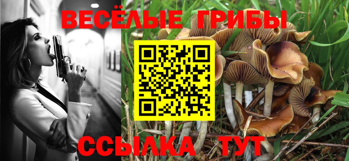 Псилоцибиновые грибы Psilocybine cubensis Уфа